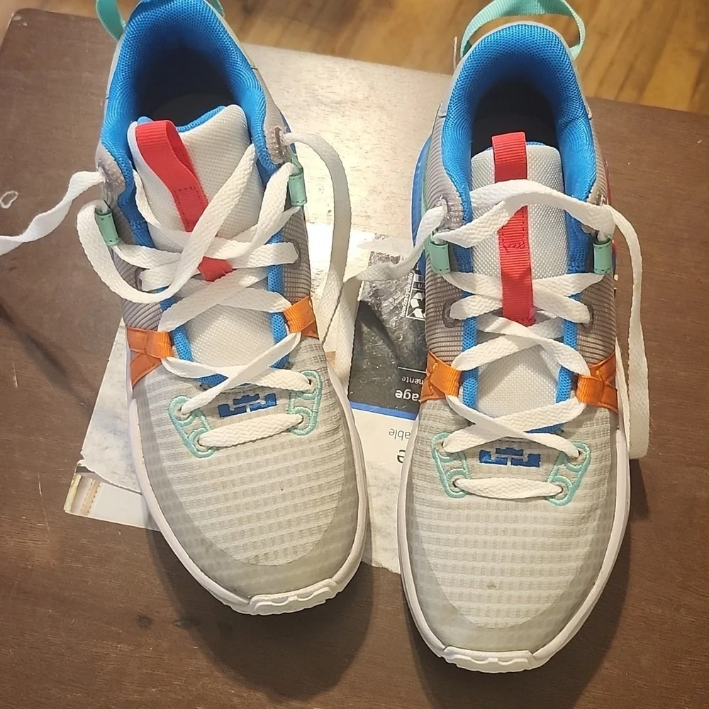 Nike Lebron Sneakers in White, Pink, and Blue